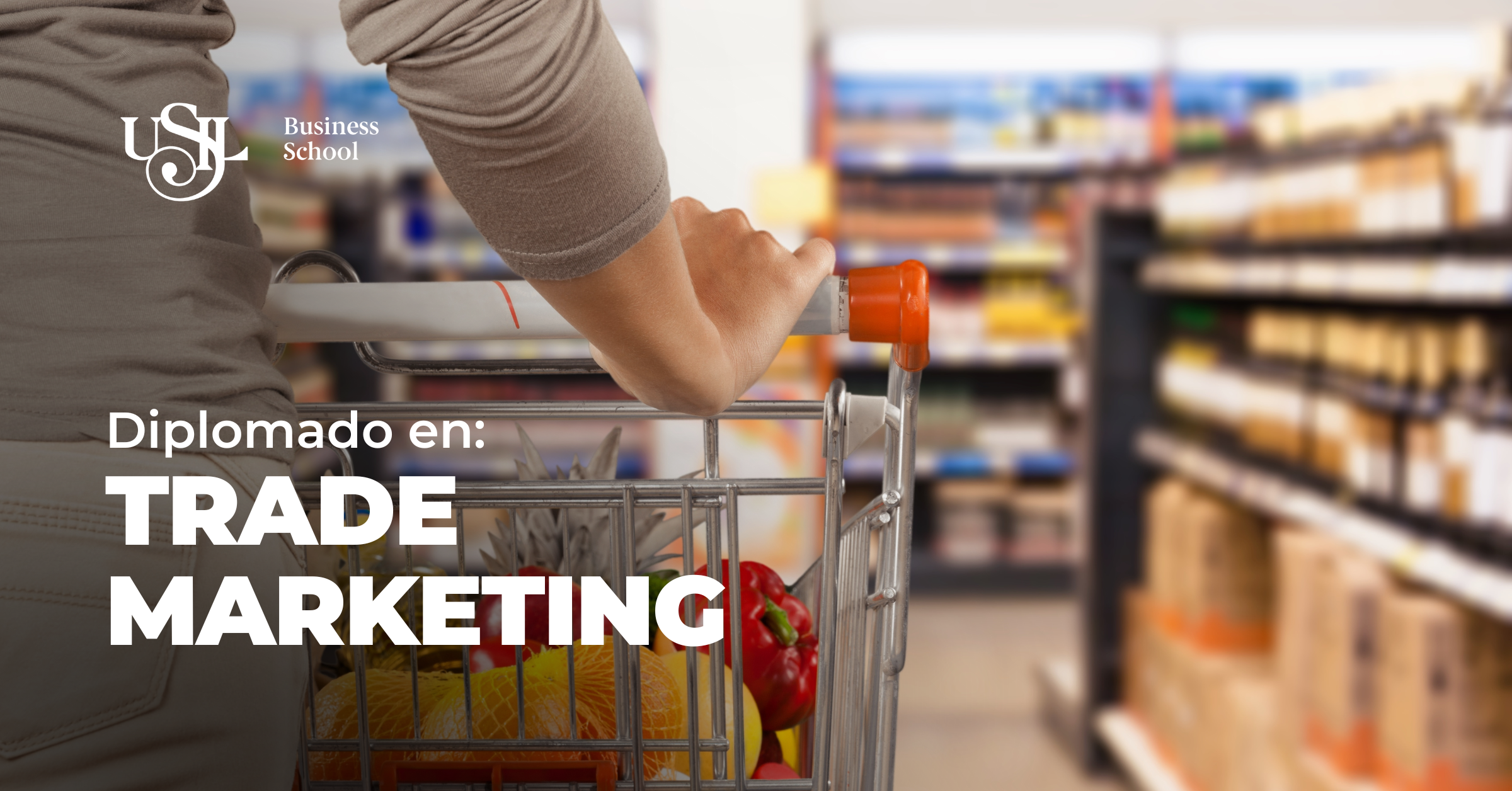 Diplomado en: Experto en Trade Marketing